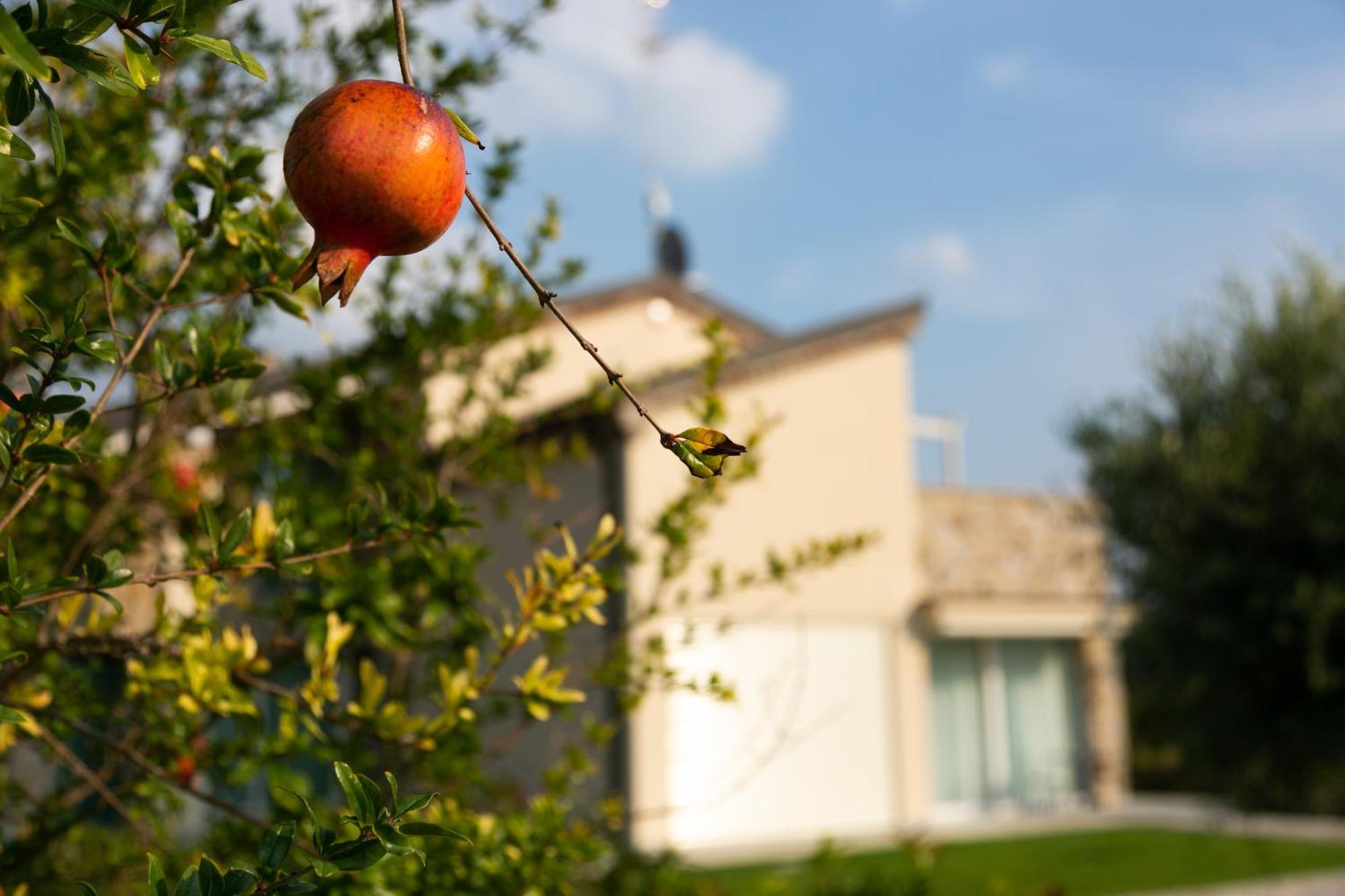 Casa Massaro Todeschini Aparthotel Abano Terme Luaran gambar