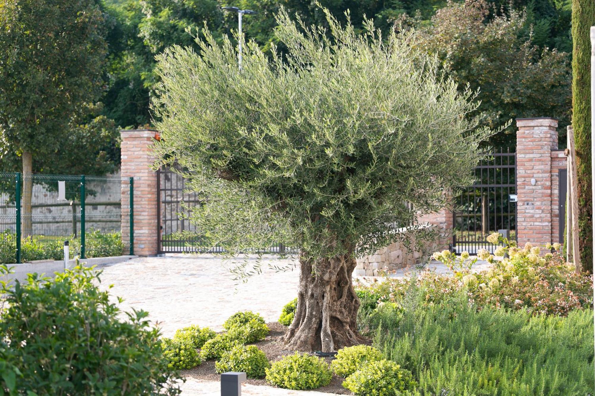 Casa Massaro Todeschini Aparthotel Abano Terme Luaran gambar